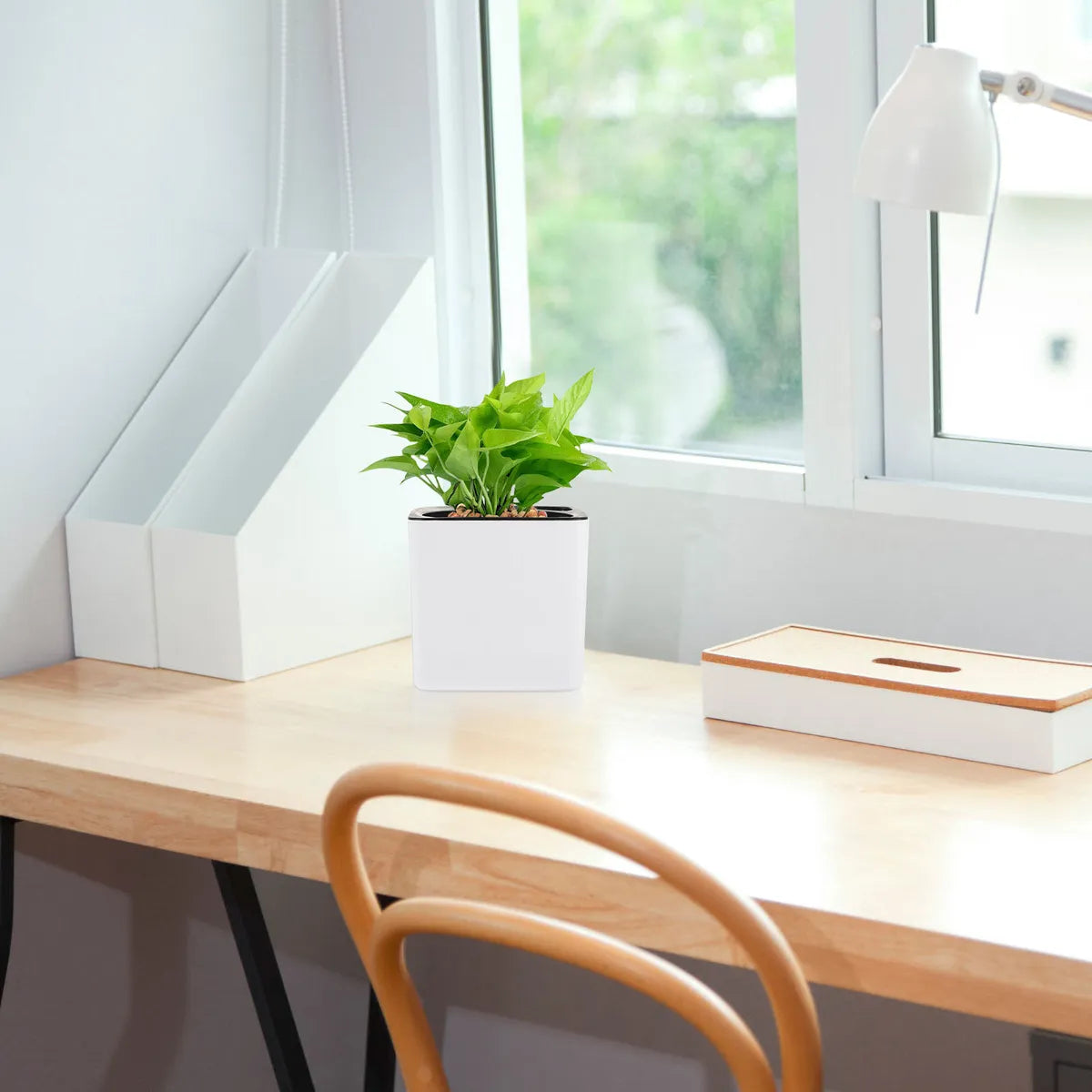 VeraLife™ Fioriera Rettangolare Minimalista - VeraLife™