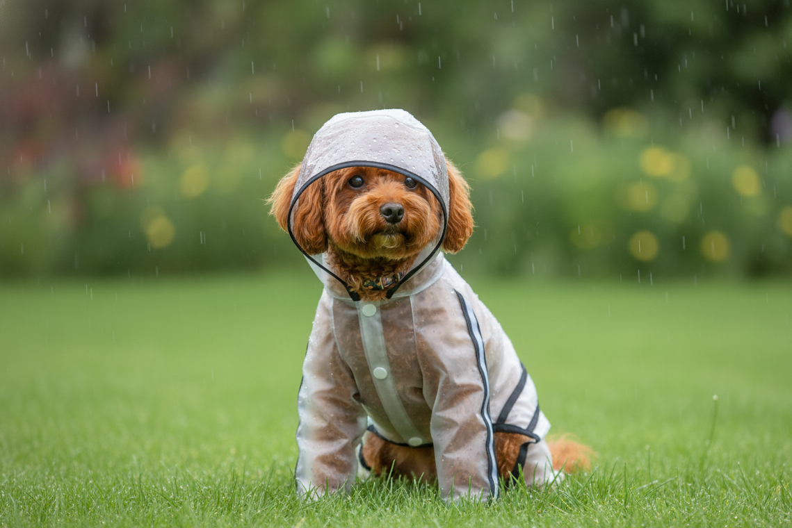 VeraLife™ Impermeabile per Cani - VeraLife™