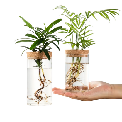 VeraLife™ Vaso in Vetro per Piante - VeraLife™