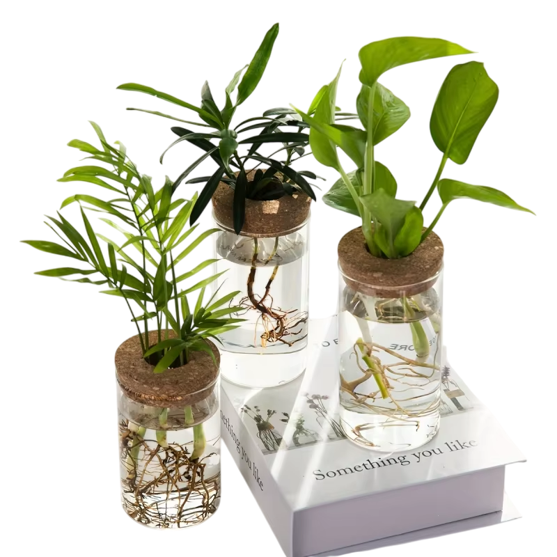 VeraLife™ Vaso in Vetro per Piante - VeraLife™