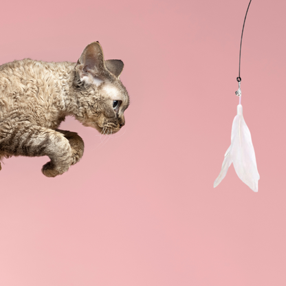 VeraLife™ Giocattolo con Bastoncino e Ventosa - VeraLife™